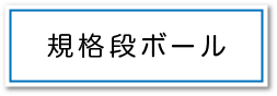 規格段ボールページへのボタン